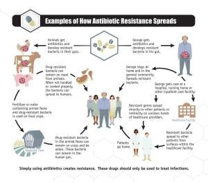 CDCantibiotic