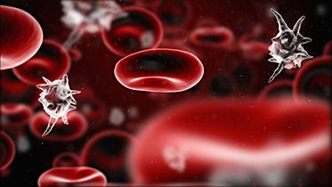 Sepsis infected blood cell
